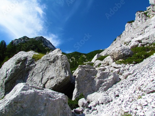 Alpine landscape with a scree and mugo pine in Karavanke mountains, Slovenia and large boulders in front © kato08