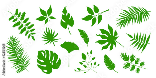 Big set of vector green leaves, herbal element. Collection of simple and tropical leaves. Can be used as isolated sign, symbol and icon. Collection of spring botanical vector flat plant illustration