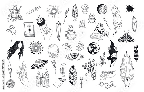 Big Witchcraft set with celestial hands, witch elements, evil eye, feathers, candles, mushrooms, crystals. Vector isolated mystical illustration.
