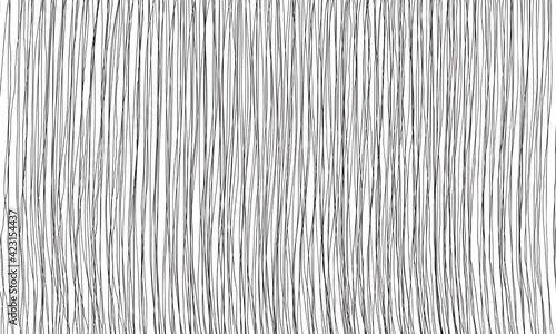 Abstract hair lines free hand black line monochrome on white for sketch background vector illustration.