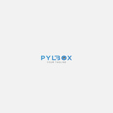 double PYL Box type logo abstract logo modern blue