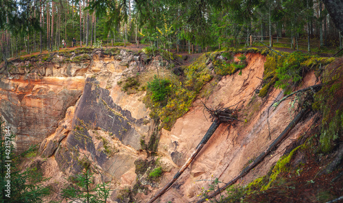 Sandstone outcrops. Erglu Cliffs, on the bank of the Gauja river. Latvia. Baltic. photo