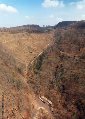 Waldarbeiten mit schwerem Gerät bei Altena-Nachrodt - Sauerland photo