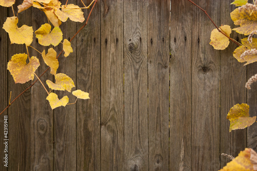 wooden fence with autumn yellow leaves