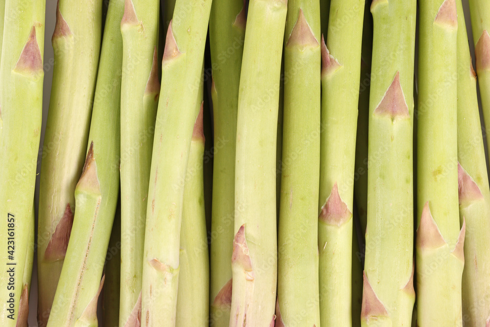 texture of asparagus uncooked green texture of asparagus uncooked green