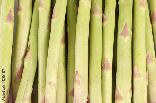 texture of asparagus uncooked green 