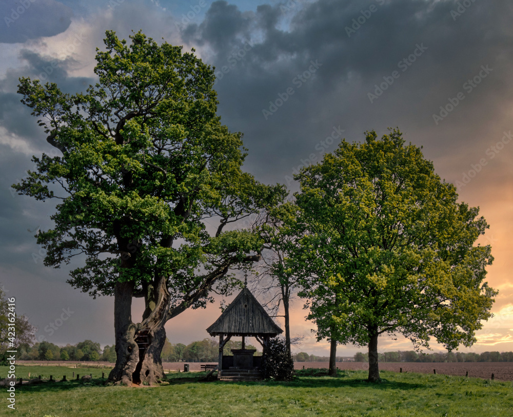 Sunset at Kroezeboom Fleringen Twente Netherlands. Sunset at Kroezeboom Fleringen Twente Netherlands.