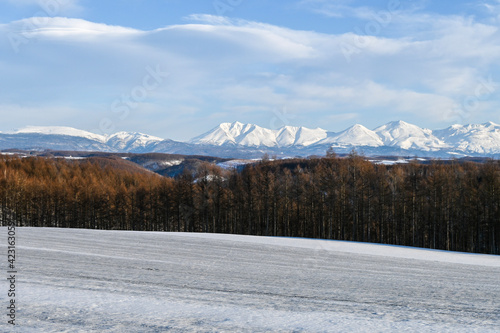 3月の美瑛町 残雪の丘と十勝岳連峰  © TATSUYA UEDA