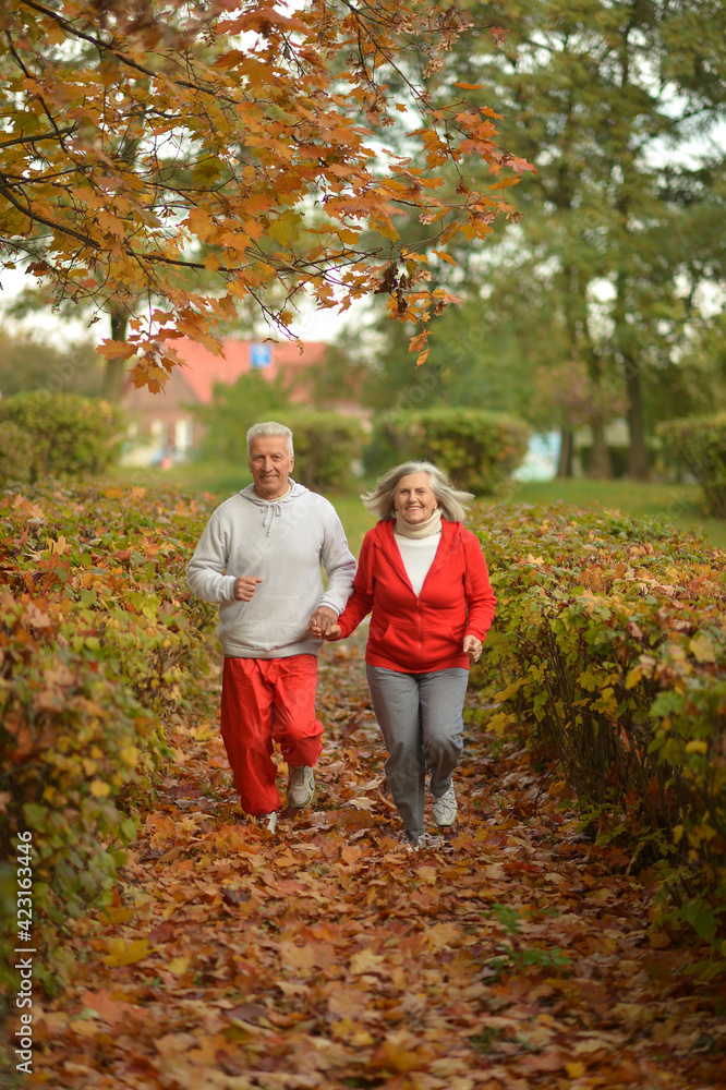 fit senior couple exercising in park fit senior couple exercising in park