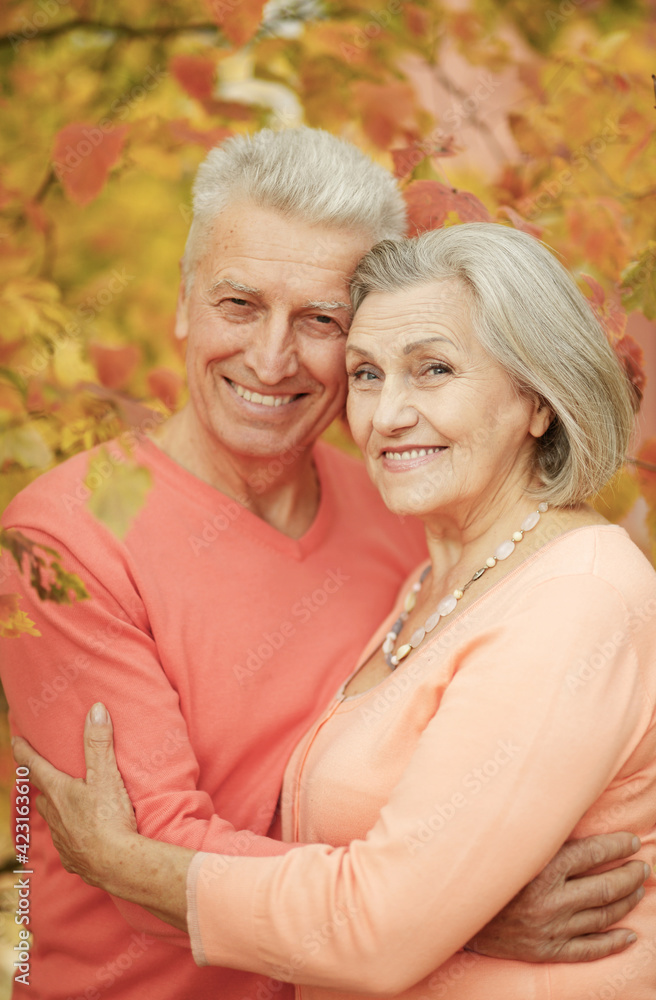 portrait of beautiful senior couple hugging in the park portrait of beautiful senior couple hugging in the park