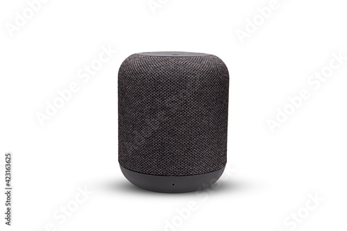 Mini Smart Speaker isolated on white background