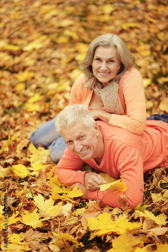 happy senior couple posing on autumn leaves