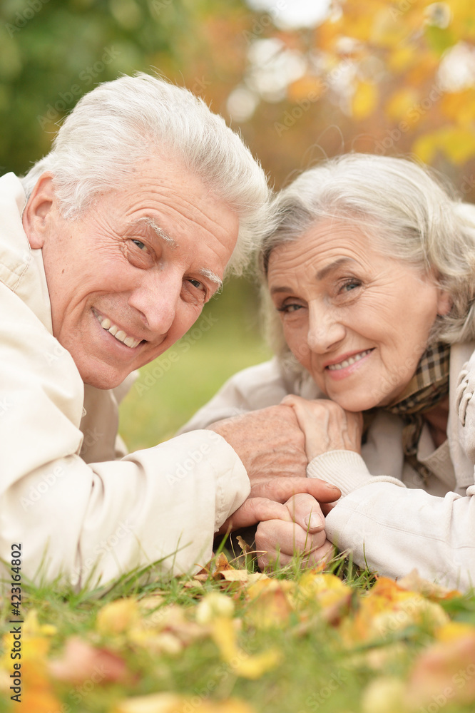 portrait of beautiful senior couple lying in park portrait of beautiful senior couple lying in park