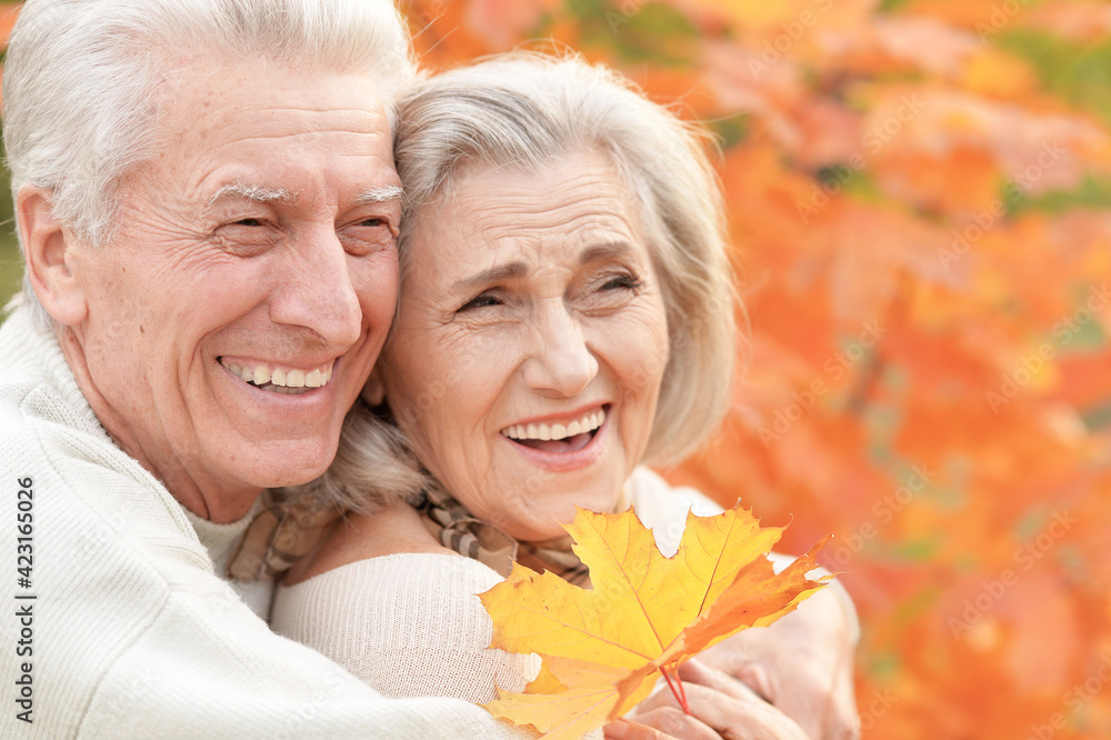 portrait of beautiful happy senior couple with autumn leaves portrait of beautiful happy senior couple with autumn leaves