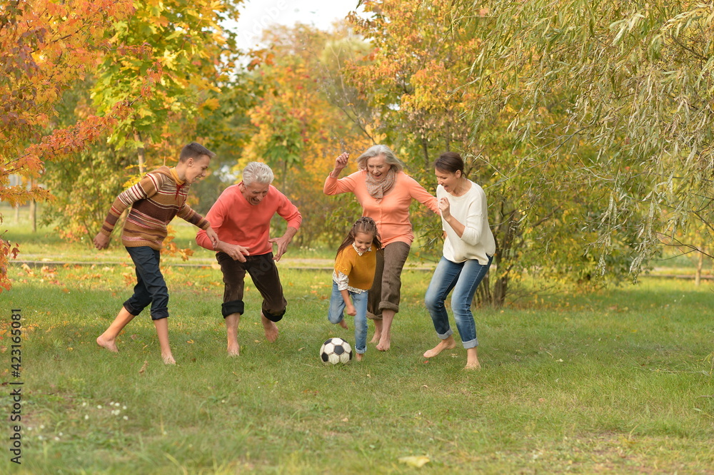 Big happy family playing football in park