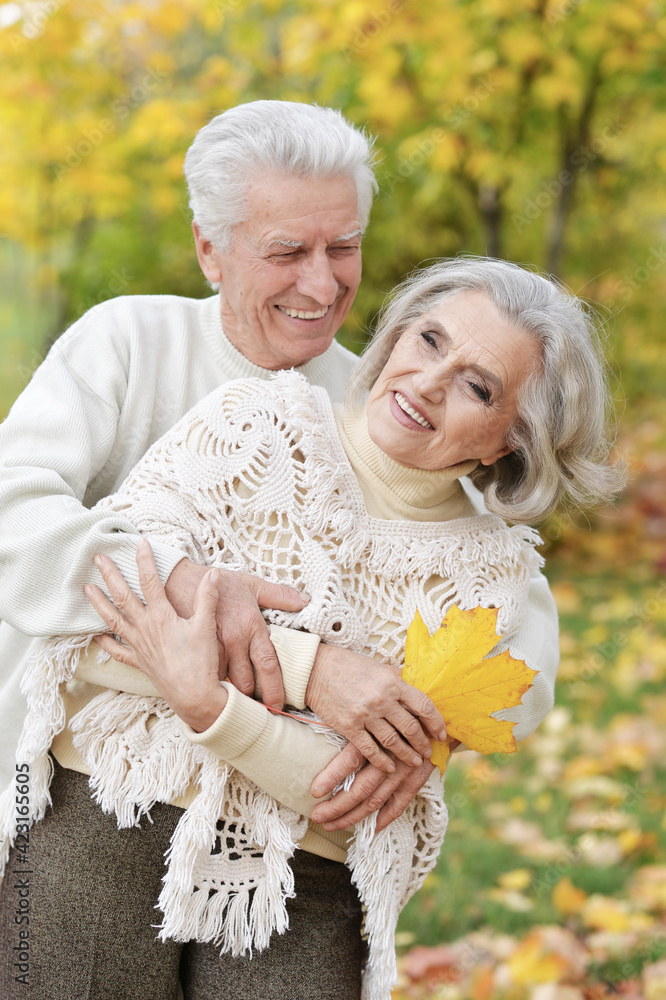 portrait of beautiful senior couple embracing in the park portrait of beautiful senior couple embracing in the park