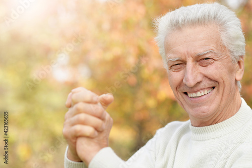 portrait of smiling senior man in park
