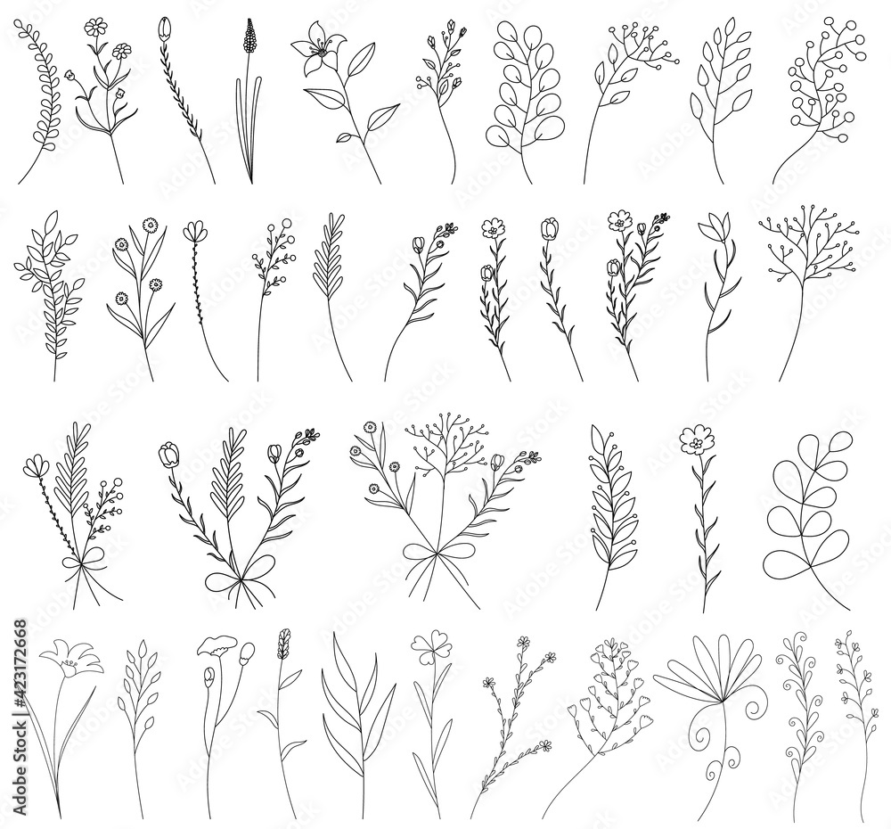 vector, isolated, hand-drawn sketch grass plants, flowers, set, collection