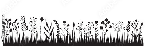 vector, isolated, black silhouette growing grass plants, flowers © zolotons