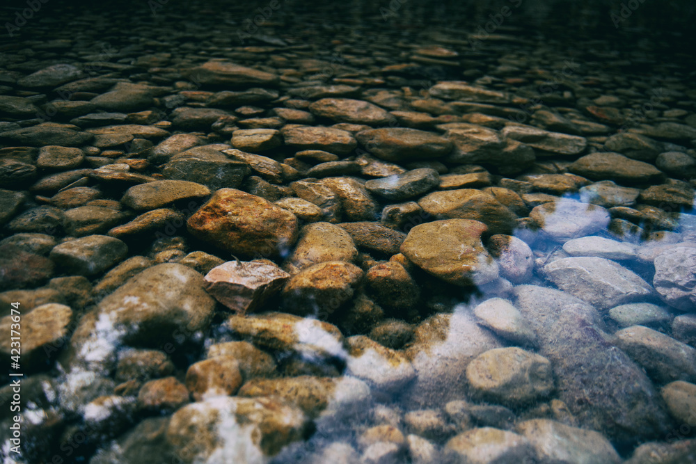 calm stream with many stones on the path calm stream with many stones on the path