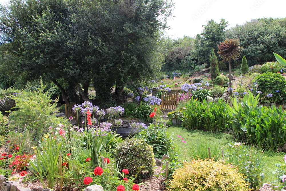 Obraz premium Hoedic