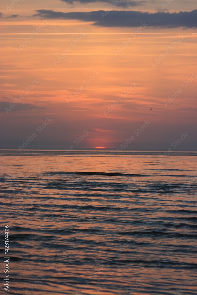 Fototapeta premium sunset in the sea