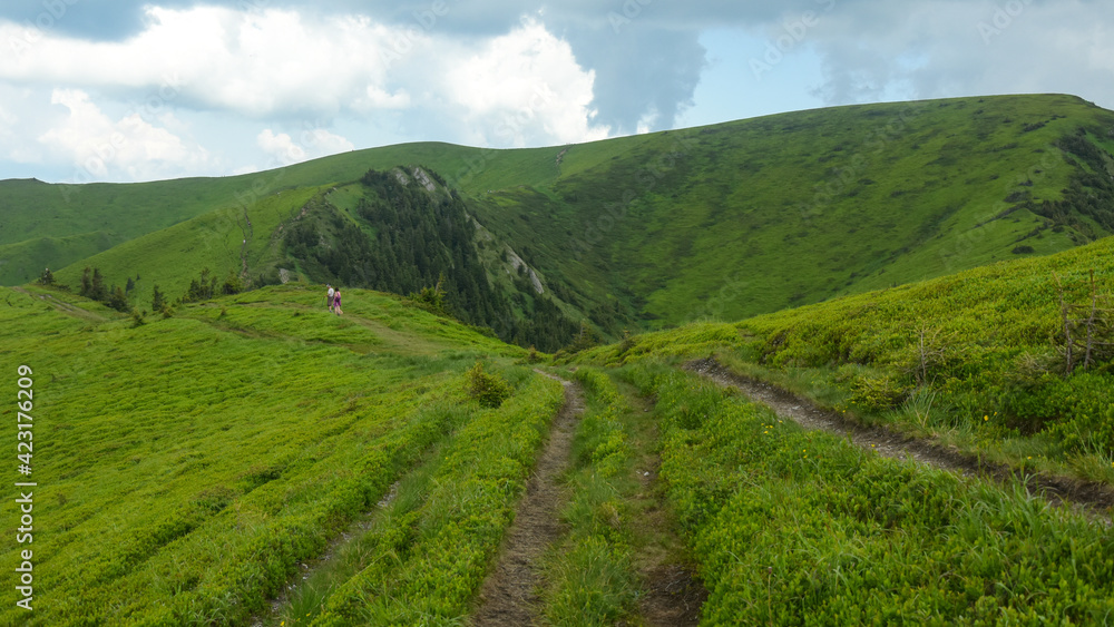 Tourists wandering on the footpaths in the green alpine pastures of Ciucas Mountains. Carpathia, Romania.