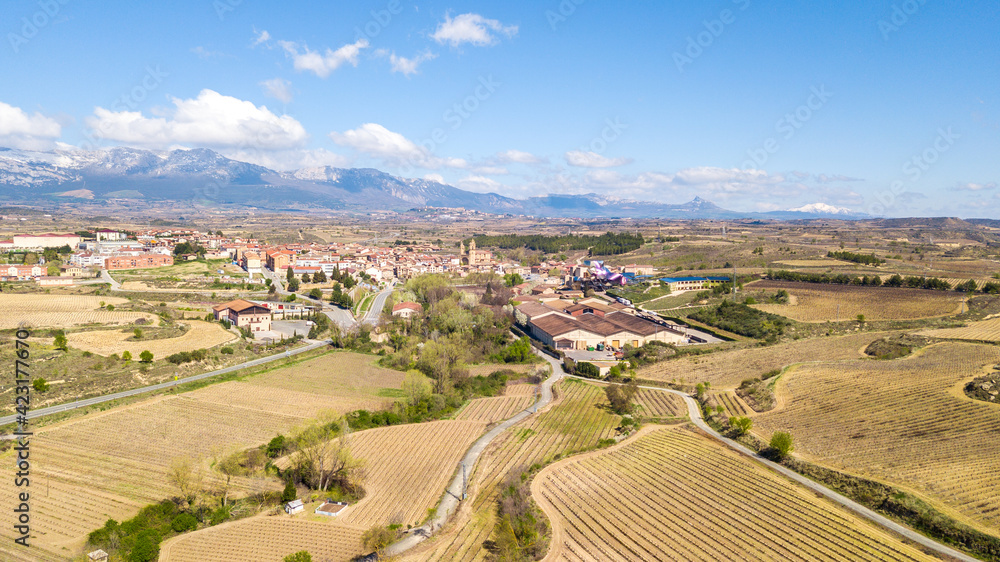 aerial view of la rioja countryside, Spain