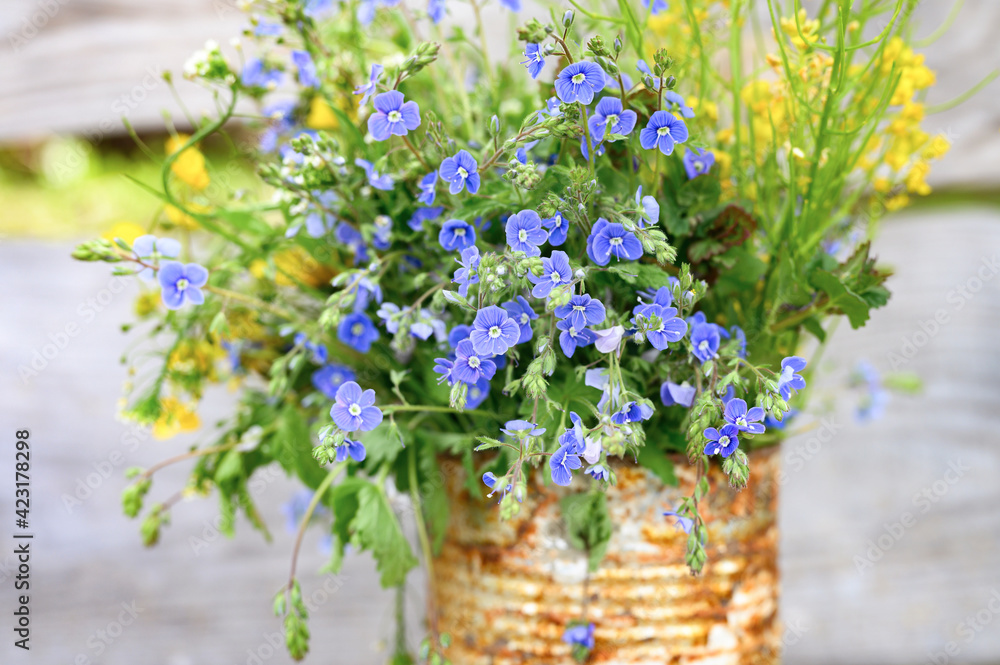 a bouquet of wildflowers of blue daisies and yellow flowers in full bloom in a rusty rustic jar against a background of wooden planks in nature. cottagecore scene