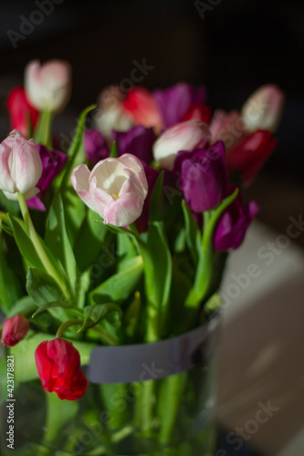 Colourful tulips flower bouquet in clear glass vase