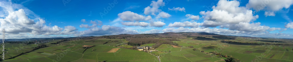 A panorama from the bird's eye view with Vollrads Castle, surrounded by vineyards of the Rheingau / Germany 