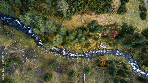 over view of small stream in a forest