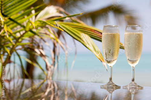 Two glasses of chilled prosecco over tropical background photo