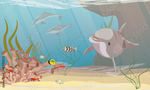 A group of Common bottlenose dolphin Tursiops truncatusswim in warm sea water with green algae, corals, tropical fish and other sea creatures. Coastal bottom. Realistic vector underwater landscape