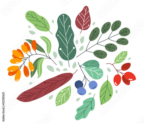 Wild berries fresh and ripe tasty healthy food with leaves vector flat style illustration isolated over white, delicious vegetation diet eating, nature gifts.