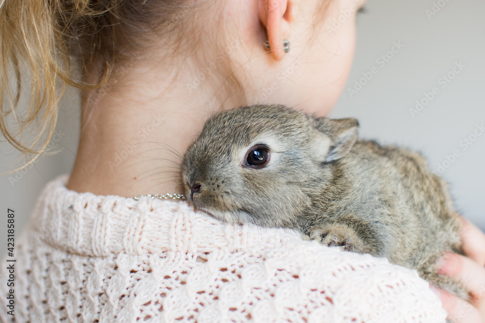 Close-up portrait of young girl with little brown bunny. Symbol of animal care, beauty, love and easter. Close-up portrait of young girl with little brown bunny. Symbol of animal care, beauty, love and easter.