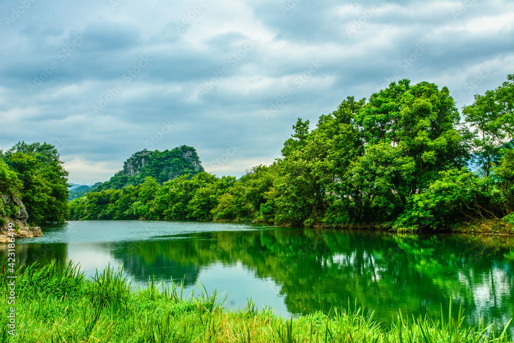 Fototapeta premium River landscape in summer