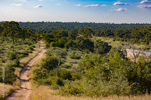 Fotografie Long winding road in kruger