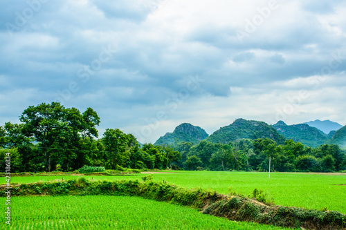 Landscape with mountains in summer