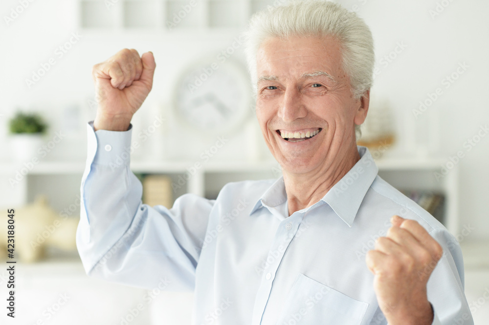 portrait of happy senior man at home portrait of happy senior man at home