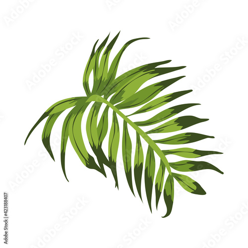 exotic leave plant