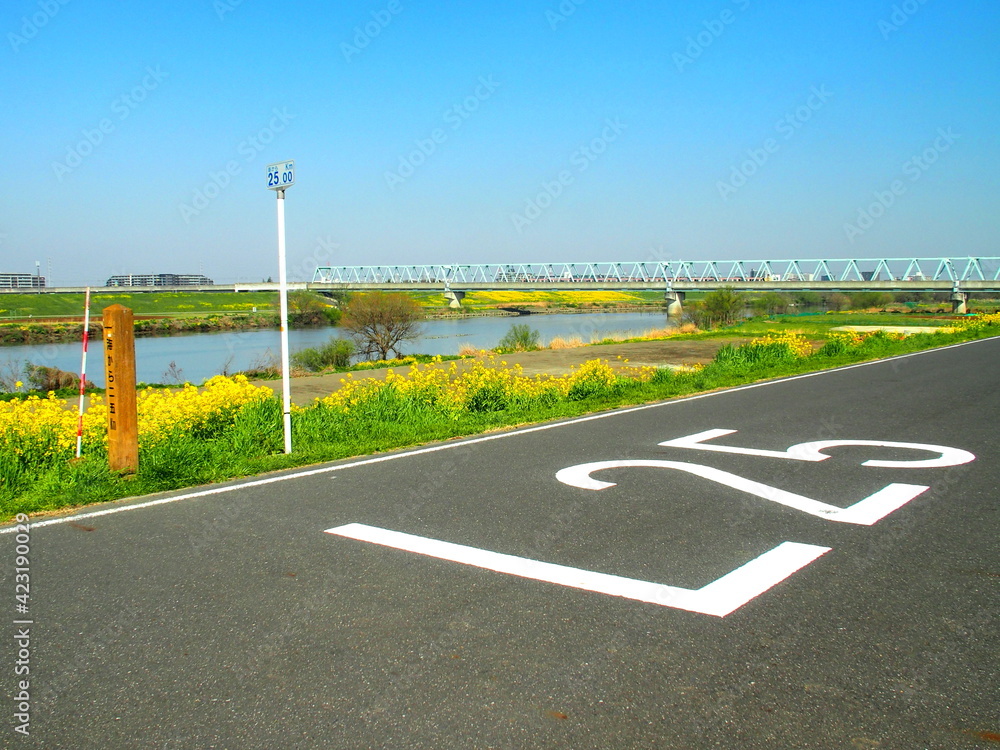 Fototapeta premium 菜の花咲く海から25キロメートルの江戸川土手左岸風景