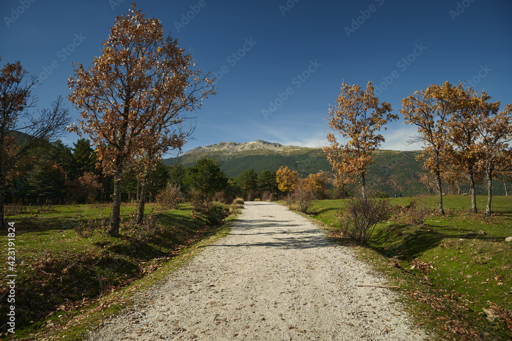 walking beetwen mountains near of madrid