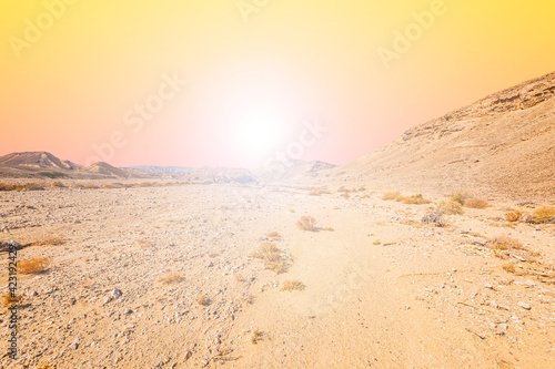 Loneliness and hopelessness of the desert