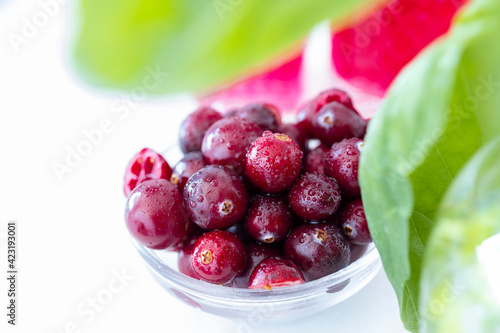 The cranberry, source of vitamin C. The wonderful properties of cranberry juice