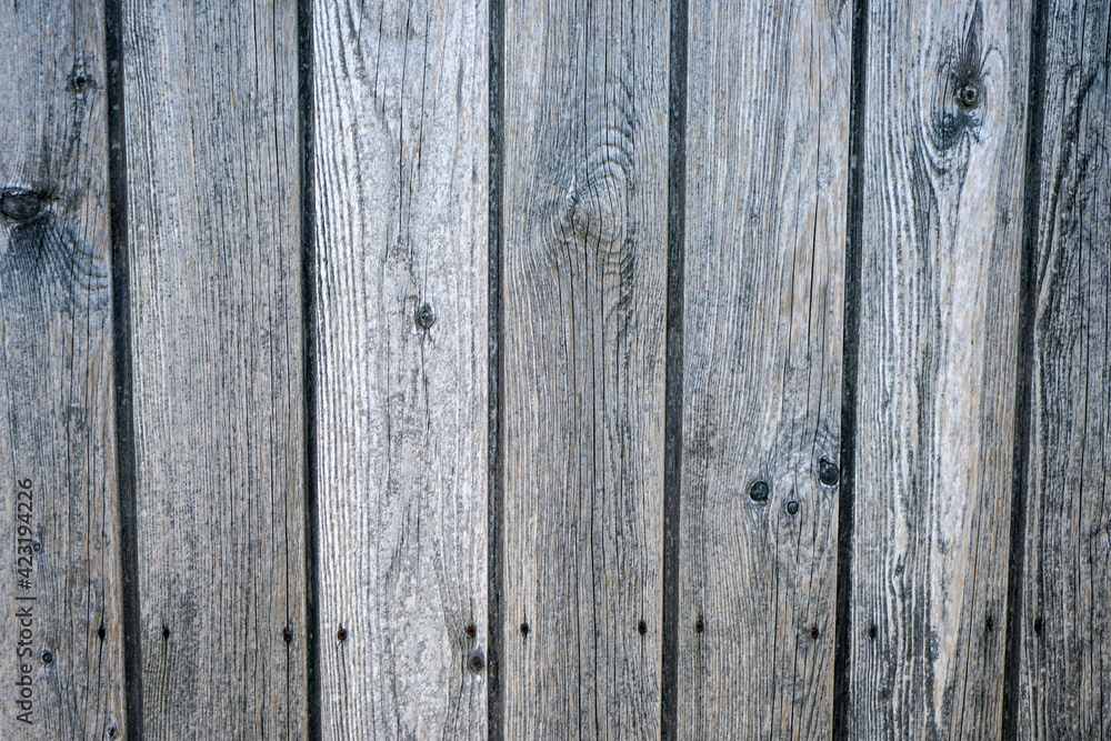Natural wood with a fine structure, photographed outdoors in daylight Natural wood with a fine structure, photographed outdoors in daylight