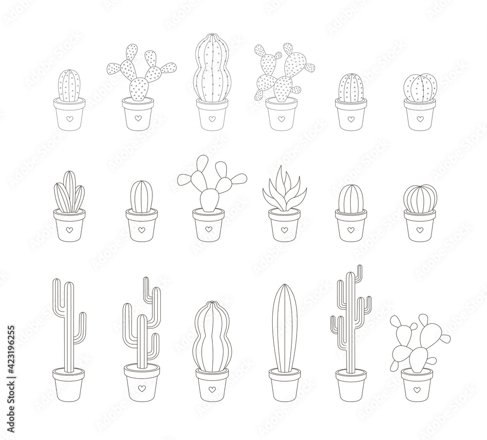 Set of Linear Cactuses Set of Linear Cactuses