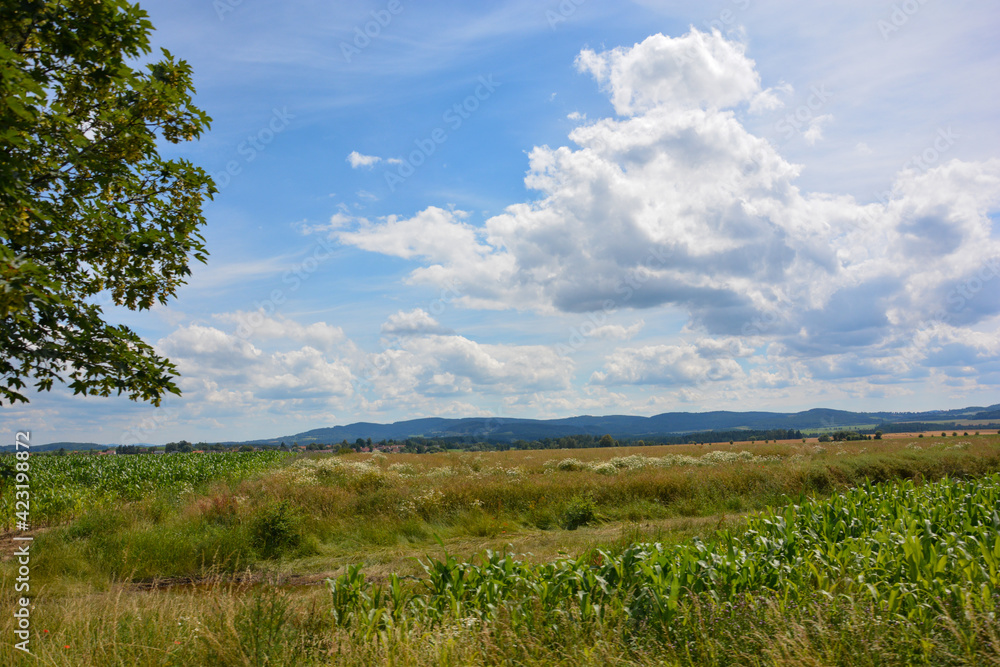 Landschaft in Schottland Highlands mit Feld und Wolken bei blauem Himmel Landschaft in Schottland Highlands mit Feld und Wolken bei blauem Himmel
