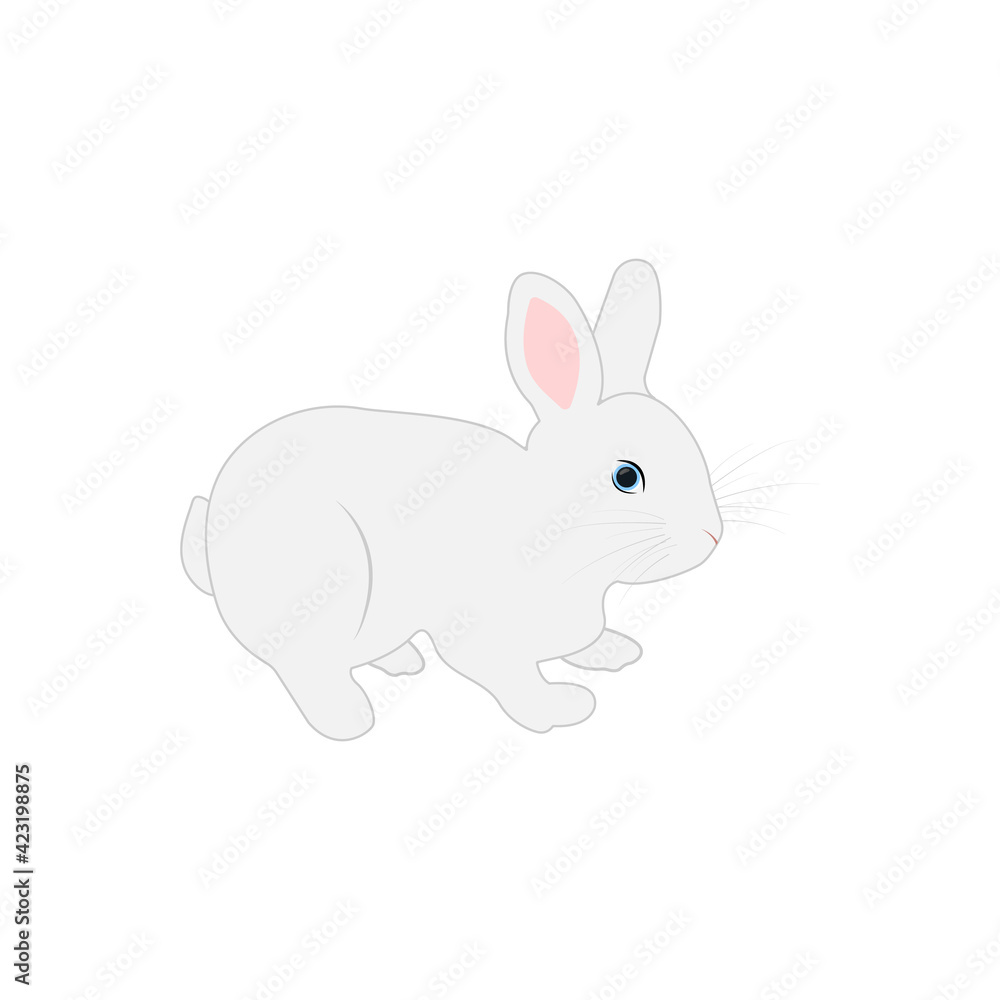 White rabbit. Vector illustration. White rabbit. Vector illustration.