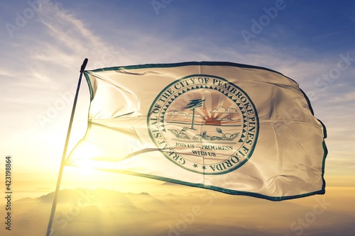 Картината върху платно Pembroke Pines of Florida of United States flag waving on the top
